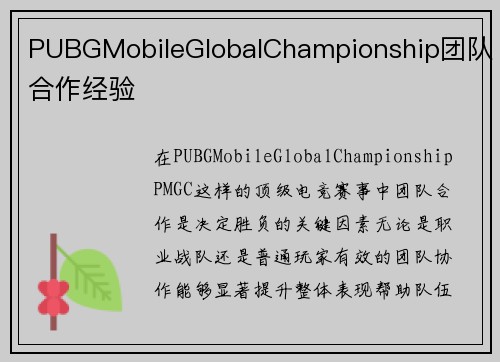 PUBGMobileGlobalChampionship团队合作经验