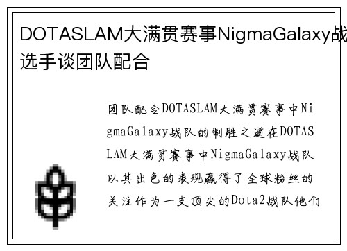 DOTASLAM大满贯赛事NigmaGalaxy战队选手谈团队配合