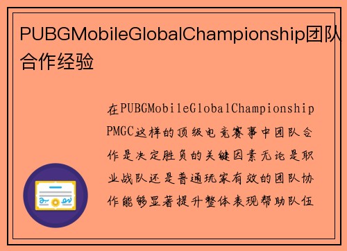 PUBGMobileGlobalChampionship团队合作经验