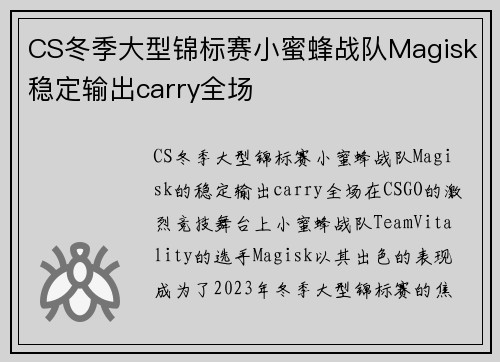 CS冬季大型锦标赛小蜜蜂战队Magisk稳定输出carry全场